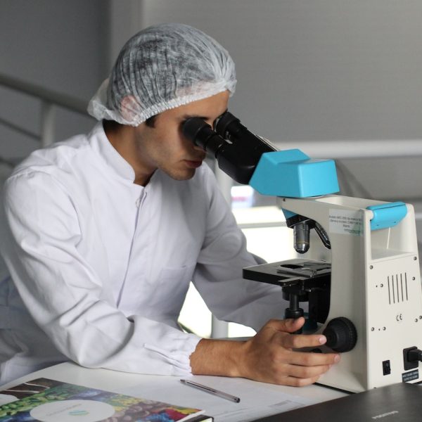 Breaking Down ECFMG Translation Requirements: What You Gotta Know 2026